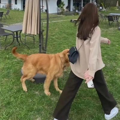 今生是第一次